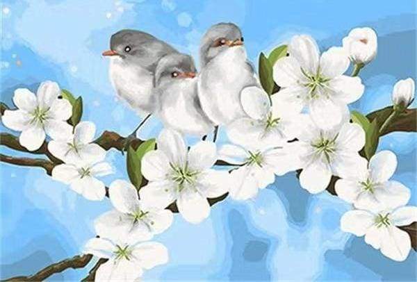 Birds og Hvide Magnolia – Præmie Mal Efter Tal Kit - Denmark