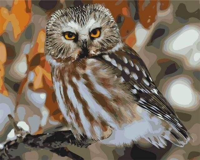 Gray Owl – Præmie Mal Efter Tal Kit - Denmark