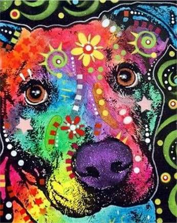 Head dog Star – Præmie Mal Efter Tal Kit - Denmark