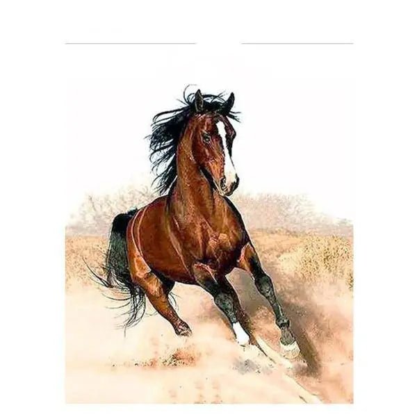 Hest – Præmie Mal Efter Tal Kit - Denmark