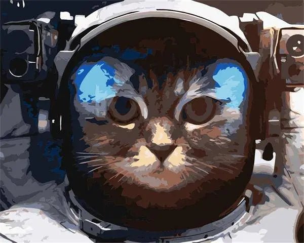 Space Cat – Præmie Mal Efter Tal Kit - Denmark