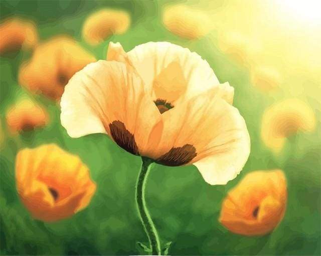Tulipaner i Fuld Blomstring – Præmie Mal Efter Tal Kit - Denmark