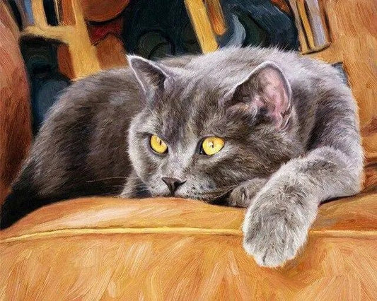 A Kat på en Stol – Præmie Mal Efter Tal Kit - 30x40cm / No Frame - Denmark