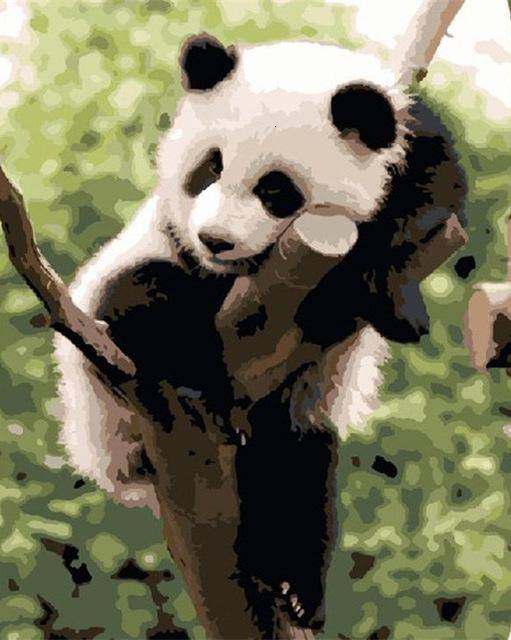 A Panda i Hvile – Præmie Mal Efter Tal Kit - 30x40cm / No Frame - Denmark
