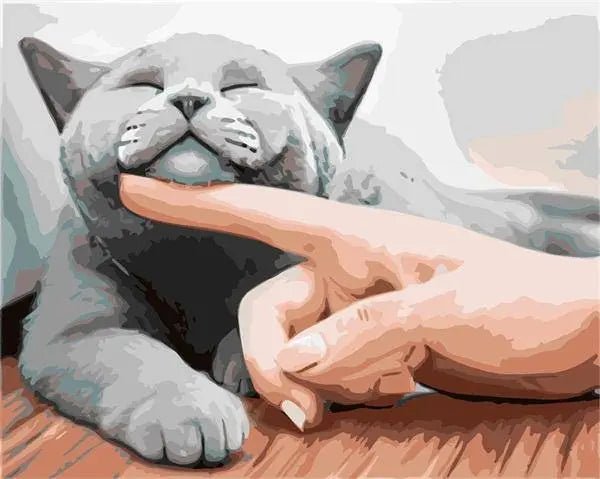 Adoring Cat – Præmie Mal Efter Tal Kit - Denmark