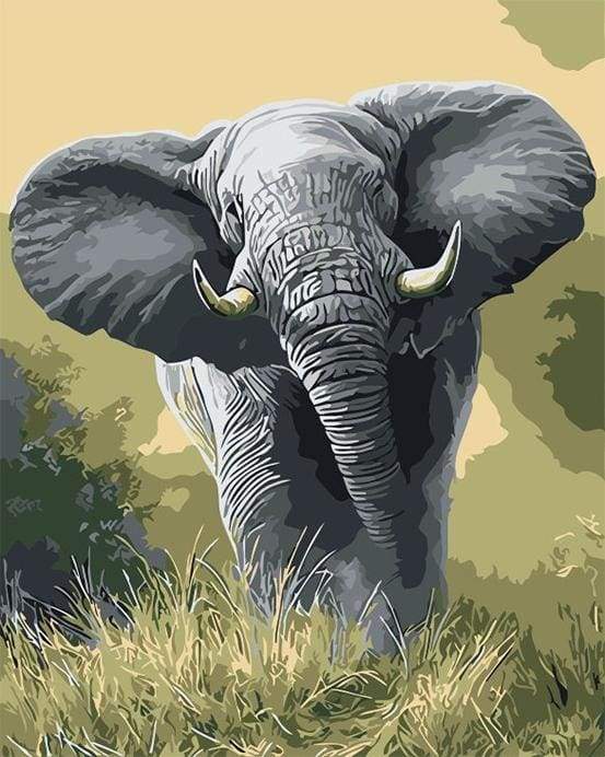 Afrikansk Elefant – Præmie Mal Efter Tal Kit - Denmark