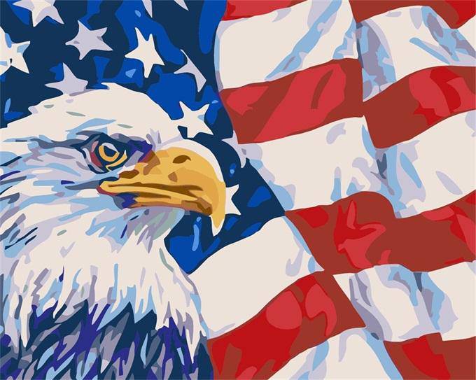 American Eagle – Præmie Mal Efter Tal Kit - Denmark