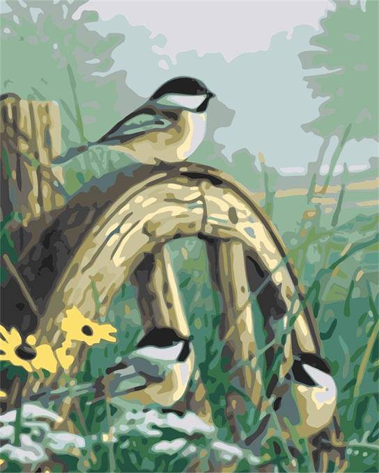 Birds On Wheel – Præmie Mal Efter Tal Kit - Denmark