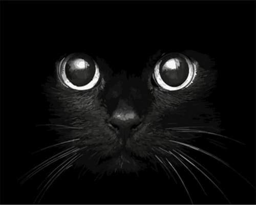 Black Cat Head – Præmie Mal Efter Tal Kit - Denmark