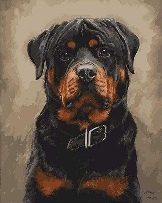 Black dog – Præmie Mal Efter Tal Kit - Denmark