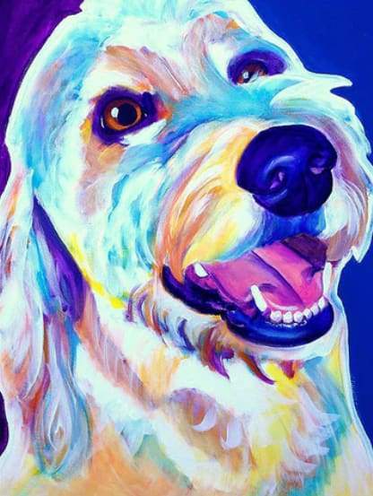 Bright dog – Farverig Mal på Tal Kit - Denmark