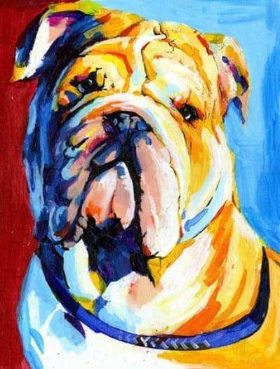 Bulldog – Præmie Mal Efter Tal Kit - Denmark