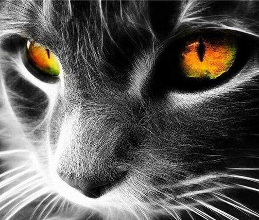Cat Eyes – Præmie Mal Efter Tal Kit - Denmark