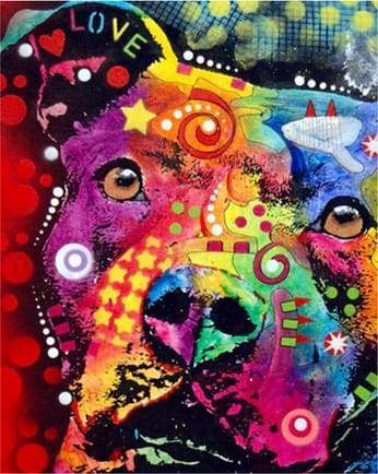 Colorful dog – Præmie Mal Efter Tal Kit - Denmark