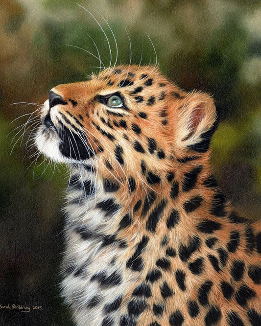 Curious Leopard – Præmie Mal Efter Tal Kit - Denmark