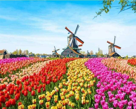 Dutch Windmill Flowers – Præmie Mal Efter Tal Kit - Denmark