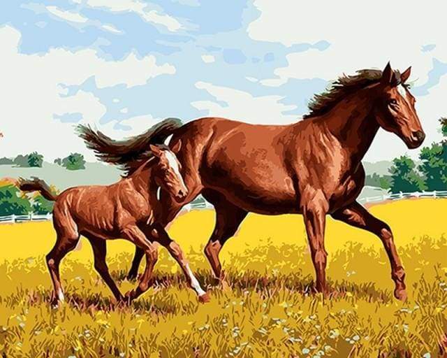 Hest og Føl i Marken – Præmie Mal Efter Tal Kit - Denmark