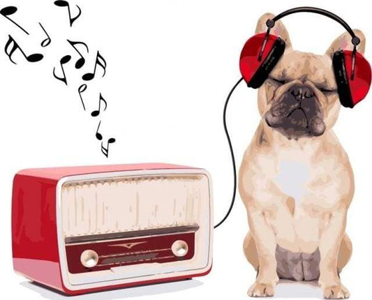 Hund der Lytter til Musik – Præmie Mal Efter Tal Kit - Denmark