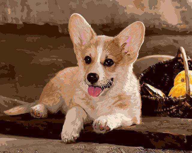Hund Pose – Præmie Mal Efter Tal Kit - 30x40cm / No Frame - Denmark