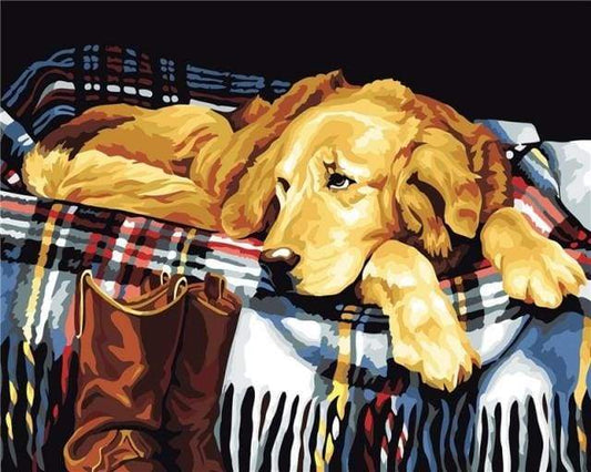 Lazy dog – Præmie Mal Efter Tal Kit - Denmark
