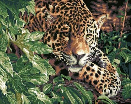 Leopard på Udkig – Præmie Mal Efter Tal Kit - Denmark