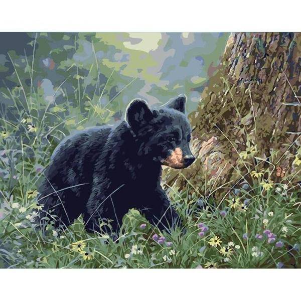 Little Bear – Præmie Mal Efter Tal Kit - Denmark