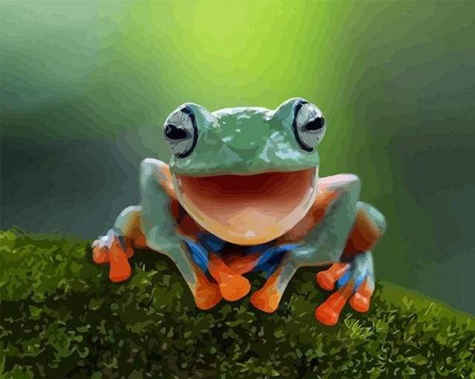 Little Frog – Præmie Mal Efter Tal Kit - Denmark