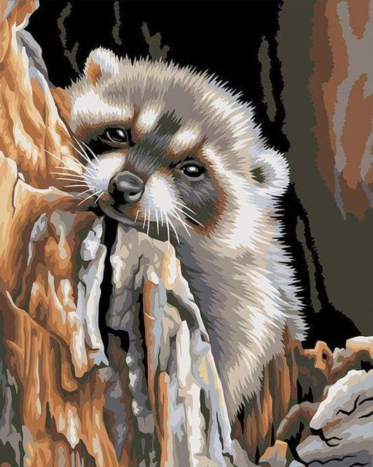 Little Raccoon – Præmie Mal Efter Tal Kit - Denmark