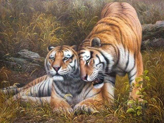Loving Tigers – Præmie Mal Efter Tal Kit - Denmark