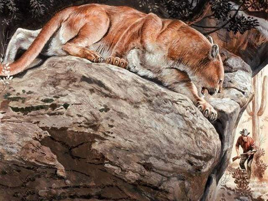 Lynx – Præmie Mal Efter Tal Kit - Denmark