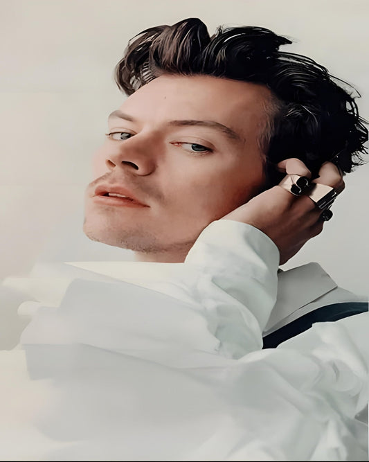 One Direction Harry Fotografi – Præmie Mal Efter Tal Kit - Denmark