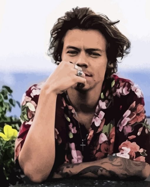 One Direction Harry Styles – Præmie Mal Efter Tal Kit - Denmark