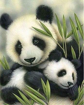 Panda Couple – Præmie Mal Efter Tal Kit - Denmark
