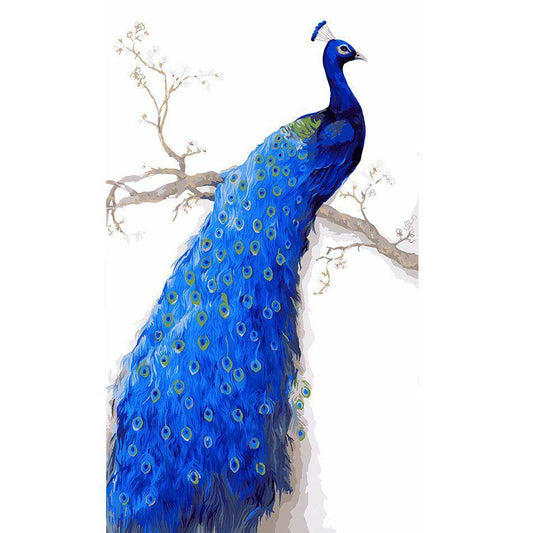 Peacock – Præmie Mal Efter Tal Kit - Denmark