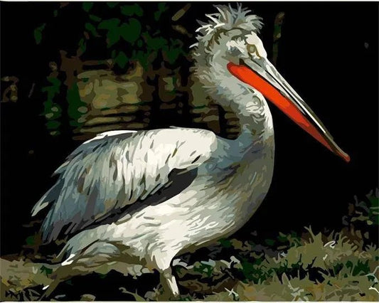 Pelican Bird – Præmie Mal Efter Tal Kit - Denmark