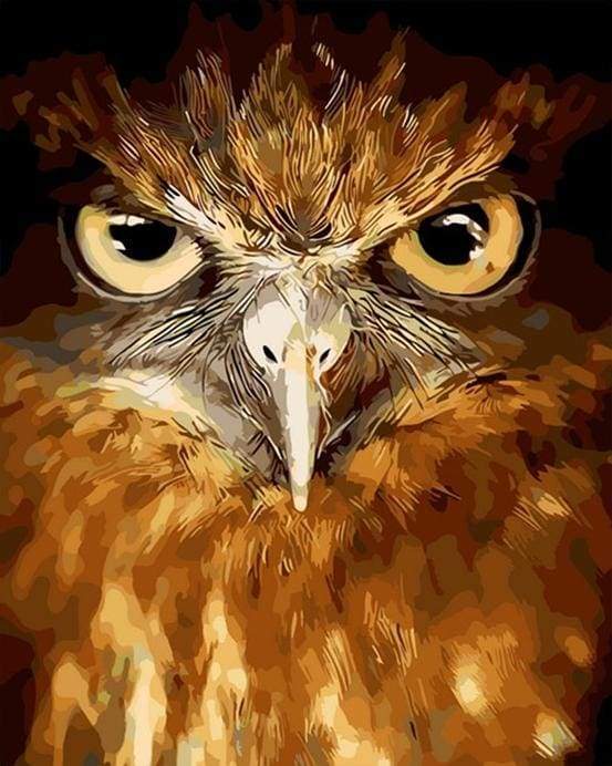 Piercing øjne Hawk – Præmie Mal Efter Tal Kit - Denmark