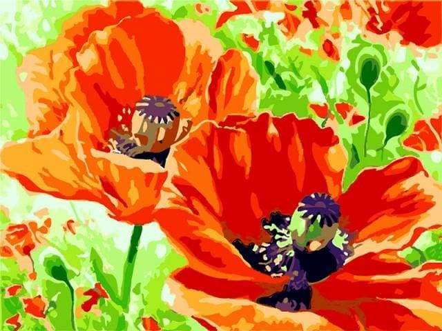 Poppies – Præmie Mal Efter Tal Kit - Denmark