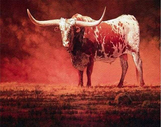 Red Bull – Præmie Mal Efter Tal Kit - Denmark
