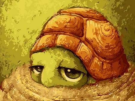 Small Turtle – Præmie Mal Efter Tal Kit - Denmark