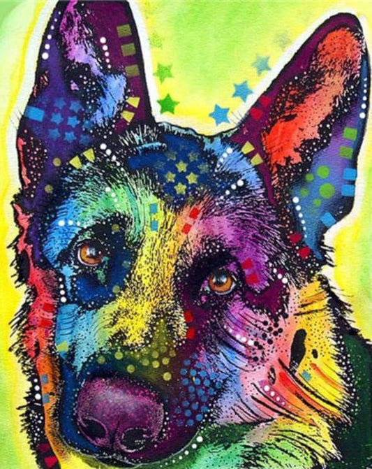 Star dog – Præmie Mal Efter Tal Kit - Denmark