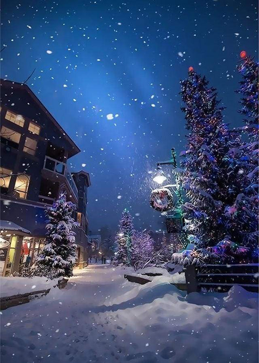 Street On Christmas – Præmie Mal Efter Tal Kit - Denmark