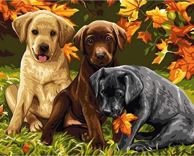 Three Dogs – Præmie Mal Efter Tal Kit - Denmark