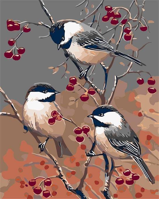 Three Friend Bird – Præmie Mal Efter Tal Kit - Denmark