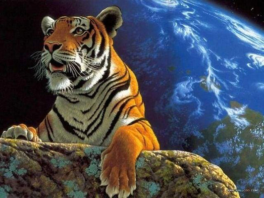 Tiger og Jord – Præmie Mal Efter Tal Kit - Denmark