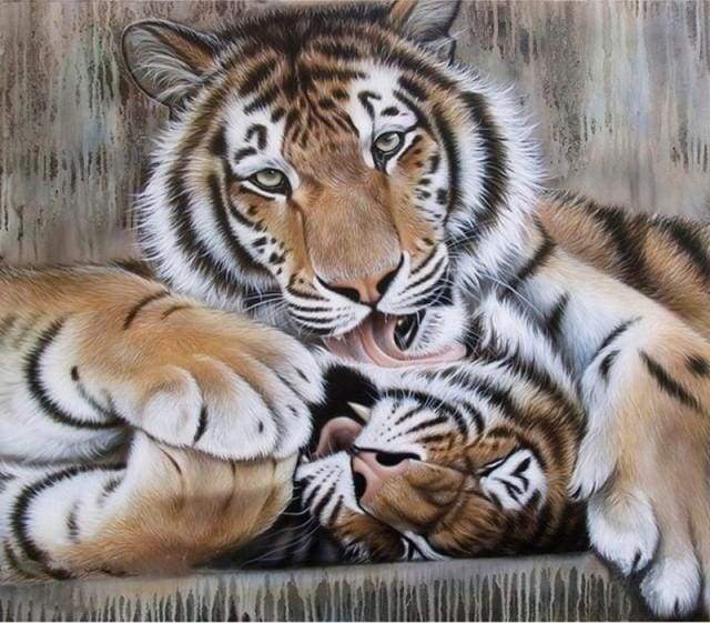 Tigers – Præmie Mal Efter Tal Kit - Denmark