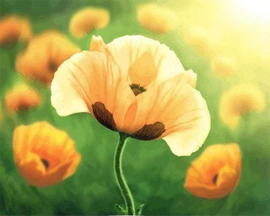 Tulipaner i Fuld Blomstring – Præmie Mal Efter Tal Kit - Denmark