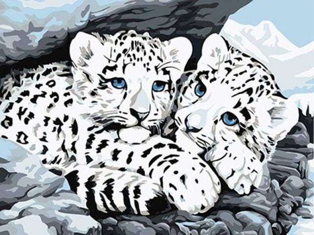 White Leopards – Præmie Mal Efter Tal Kit - Denmark