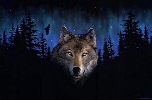 Wolf at Night – Præmie Mal Efter Tal Kit - Denmark